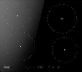 Induktionsfeld Reparatur Chemnitz